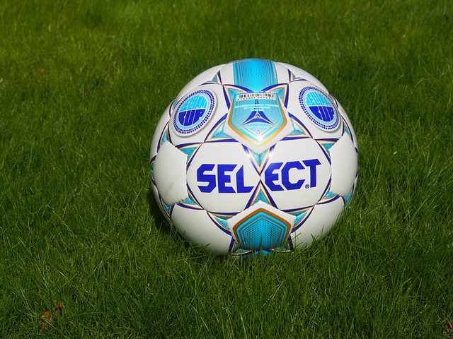 Tyc：国米有意维拉门将大马丁，将其视为索默的替代者