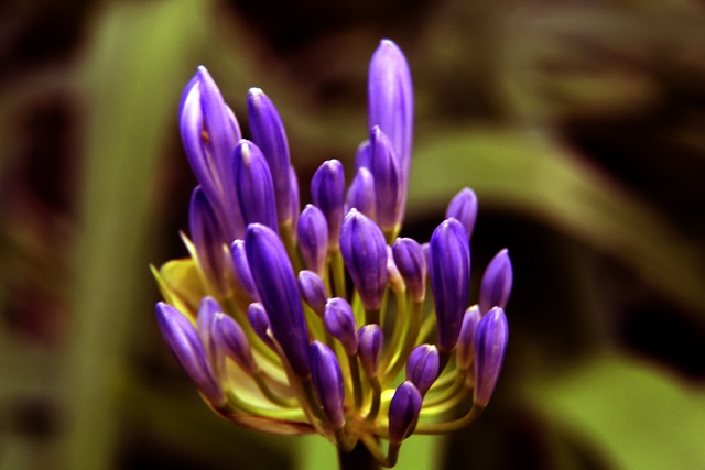 桑托斯官方：内马尔伤愈回归入选下一场巴甲大名单