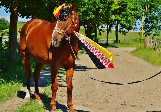 足坛一些球员会不会是有其他副业……？