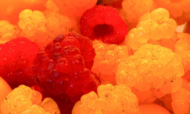 克雷莫内塞3-1博洛尼亚，瓦尔迪双响，帕耶罗破门