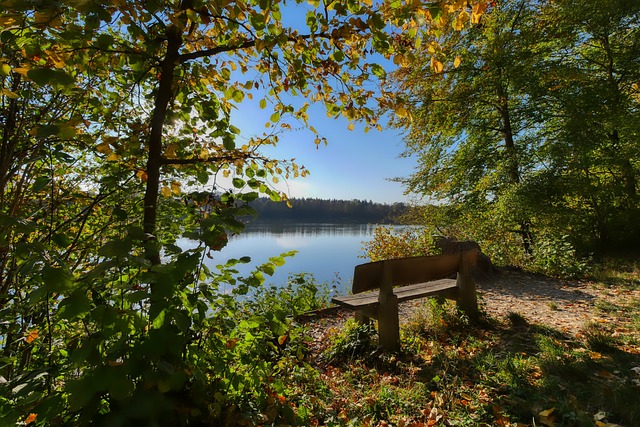 凯恩：下半场我们展现了拜仁真正的面貌；会好好分析阿森纳