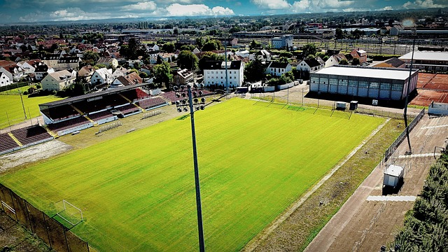 的偶像球队 的偶像球队