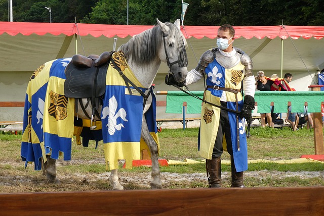 动员竞技的 动员竞技的