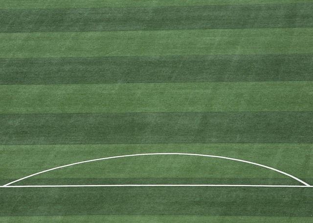 中率仅为 中率仅为