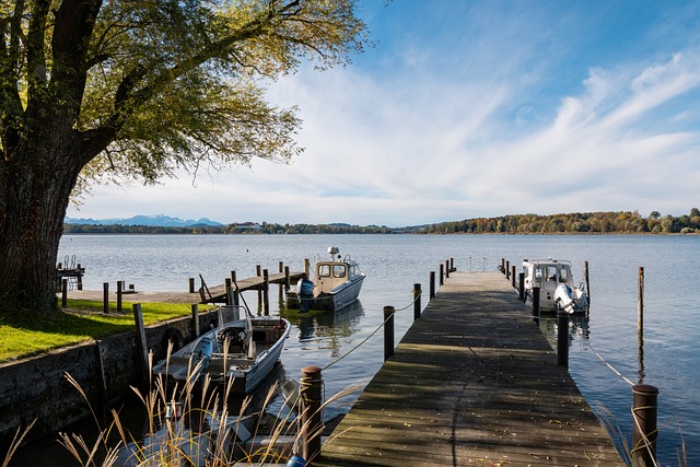 们在场上的 们在场上的