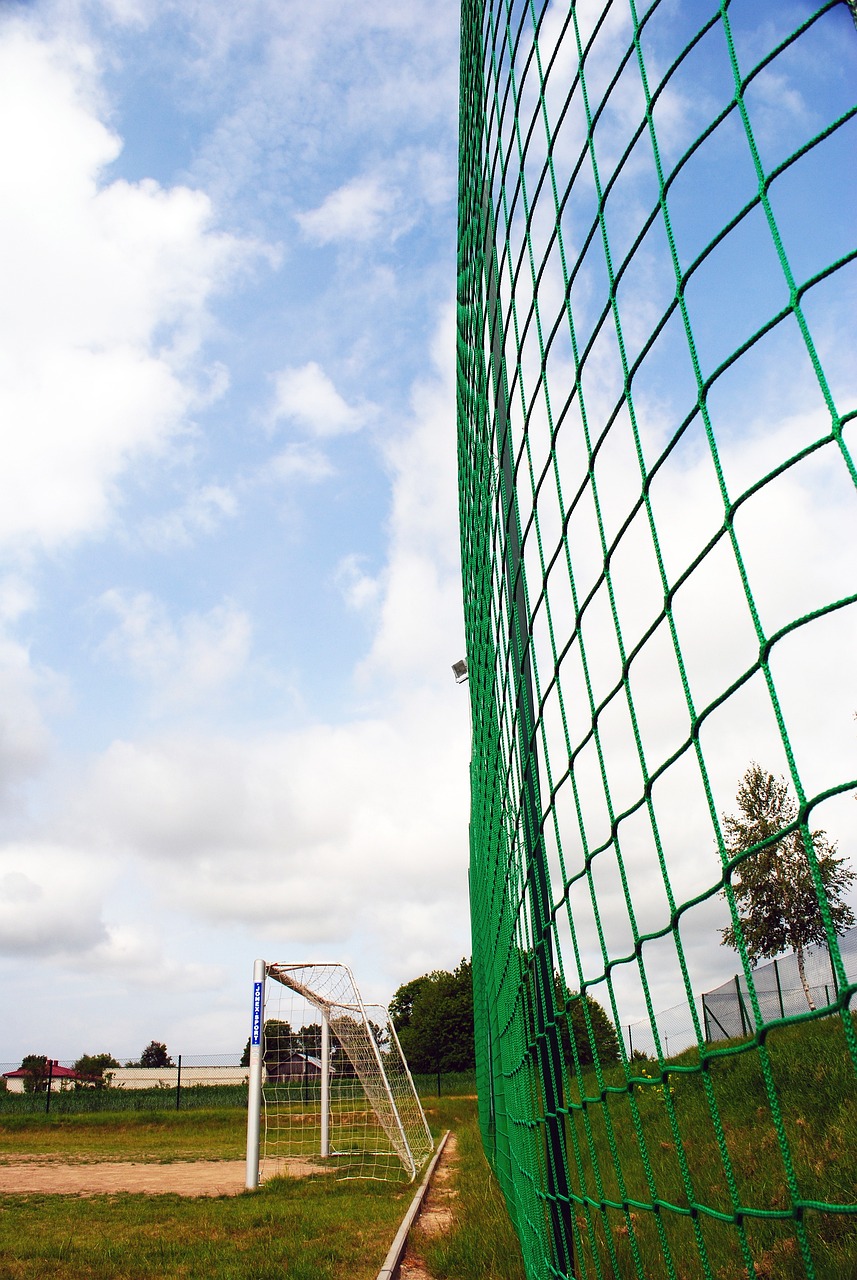 的魅力所在 的魅力所在