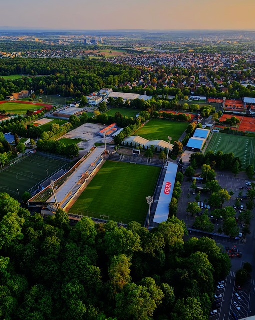 他们的独特 他们的独特