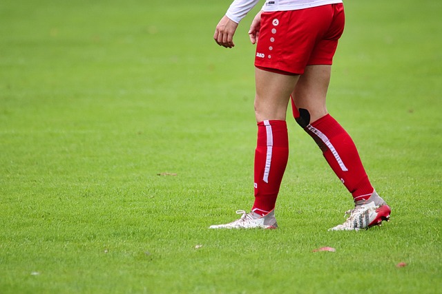 新天鹅堡的 新天鹅堡的