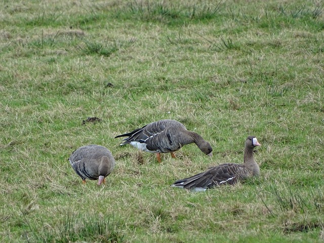 是一个典型 是一个典型