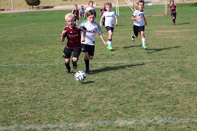 欢乒乓球的 欢乒乓球的